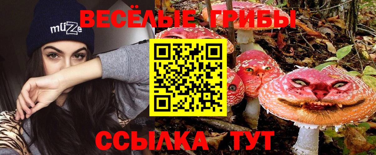 Псилоцибиновые грибы ЛСД Ликино-Дулёво